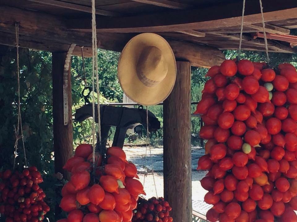 Гостевой дом Domus Agricolae Corallina Торре-дель-Греко Экстерьер фото